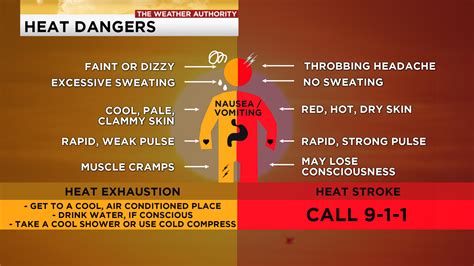dangerous overheating of the body causes